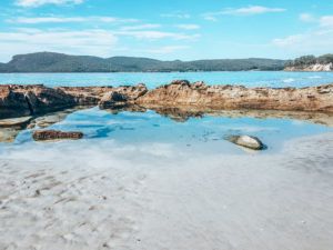 Read more about the article Geheimnisvolles Tasmanien – eine Reise zur größten Insel Australiens – Reisetagebuch Teil 9
